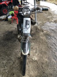 IMG_0306.jpeg