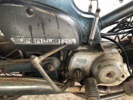 IMG_0305.jpeg