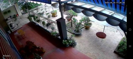 IMG_4077.jpeg