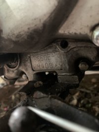 IMG_2762.jpeg