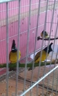 IMG_7959.jpeg