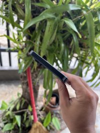 IMG_4511.jpeg