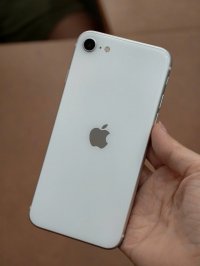 IMG_8407.jpeg