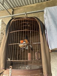 IMG_4051.jpeg