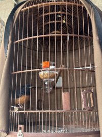 IMG_4052.jpeg