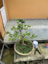 IMG_9349.jpeg