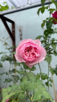 05d165ec8ccb41d103d78ba2e48de346.jpeg