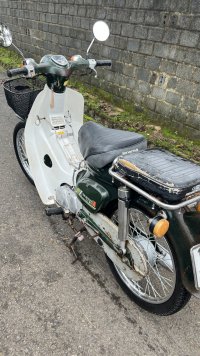 IMG_2980.jpeg