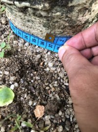 IMG_1886.jpeg