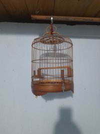 20250728_113536.jpg