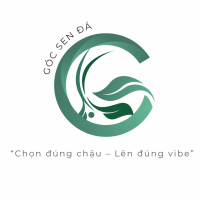 gocsenda.png