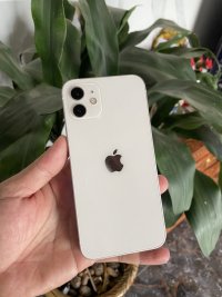 IMG_0201.jpeg