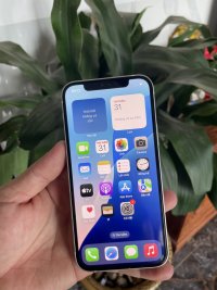 IMG_0206.jpeg