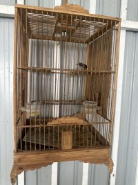 IMG_8175.jpeg