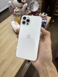 IMG_7267.jpeg