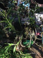 downloadfile-6.jpg