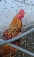 20170407_060409.jpg