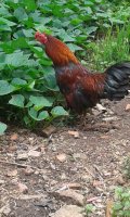 20170528_111456.jpg