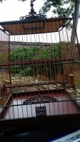 IMG_20170526_143804.jpg