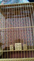 IMG_20170522_062728.jpg