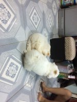 IMG_0245.JPG