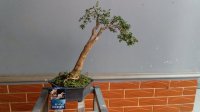 20180406_165245.jpg