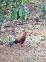 20180610_145508.jpg