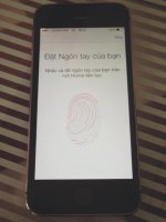 11403339_723190207808597_2431369683314478287_n.jpg