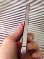 11666124_723191727808445_2961404953709801481_n.jpg