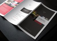 2-trifold-brochure-design.preview.jpg