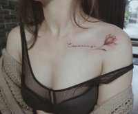 646113 646113