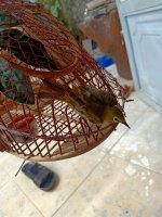 IMG20200524092237.jpg