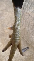 20150912_160403.jpg
