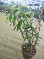 IMG_20200711_163154.jpg