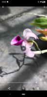 Screenshot_20201009-102337.png