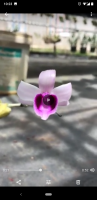 Screenshot_20201009-102315.png
