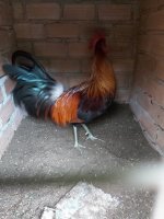 20201120_113011.jpg