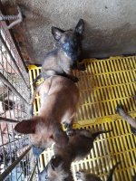 20201111_094057.jpg