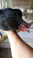 20201217_085814.jpg