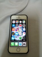 16130256785154494907042221922587.jpg