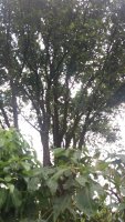 20210513_113951.jpg