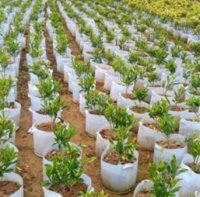 z2250207458109_857aa7301e2b64db8aa8e29db788ef29 - Copy.jpg