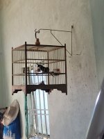 20220111_120444.jpg