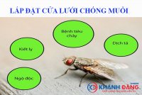 ly-do-lap-dat-cua-luoi-chong-muoi.jpg