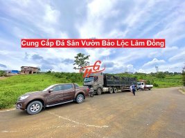 Cung-cap-da-san-vuon-bao-loc-lam-dong (1).jpg