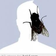 anhluctin