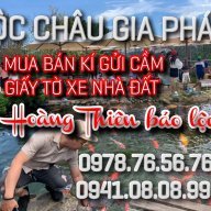 Hoàng thiên bảo lộc