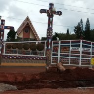 Đỗ thế lâm