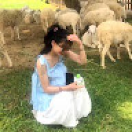 nguyenthanhmai123