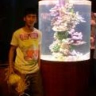 spm_dh
